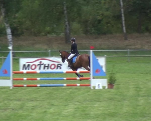 Reitturnier Gardelegen 2018