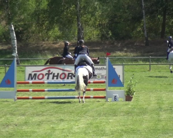 Reitturnier Gardelegen 2018