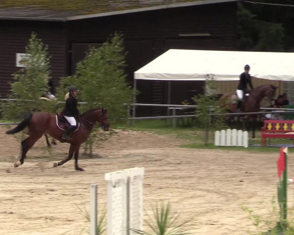 Reitturnier Neunkirchen-Salchendorf 2018