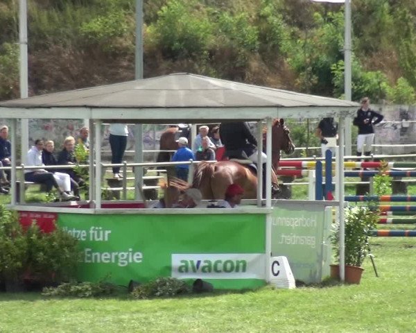 Reitturnier Gardelegen 2018