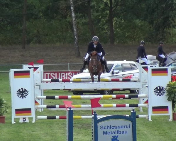 Reitturnier Gardelegen 2018