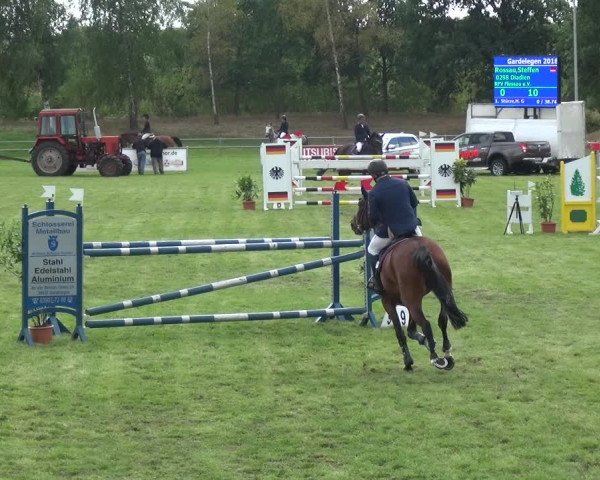 Reitturnier Gardelegen 2018