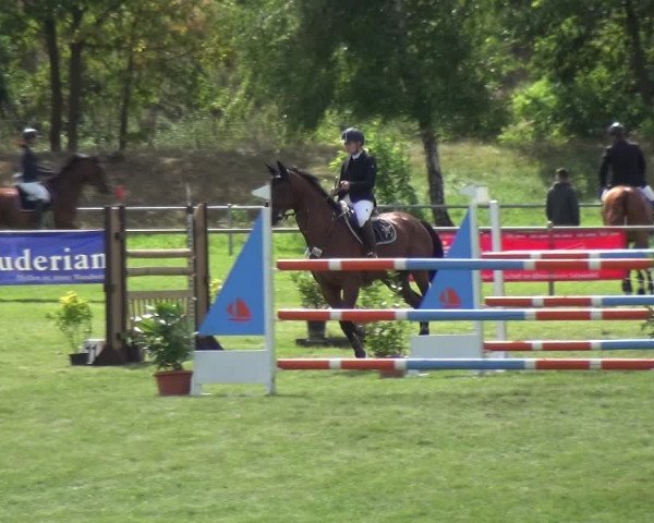 Reitturnier Gardelegen 2018