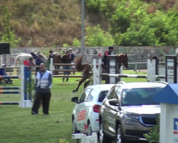 Reitturnier Gardelegen 2018