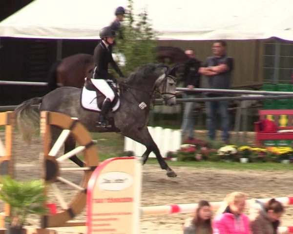 Reitturnier Neunkirchen-Salchendorf 2018