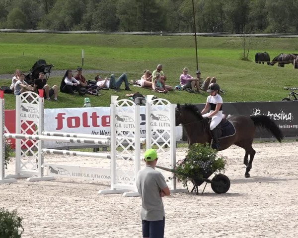 Concours Hippique Zuoz 2018