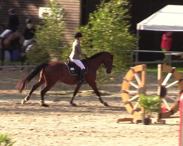 Reitturnier Neunkirchen-Salchendorf 2018