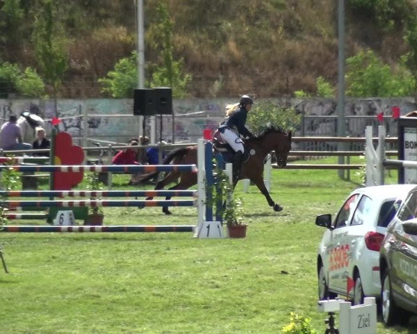 Reitturnier Gardelegen 2018