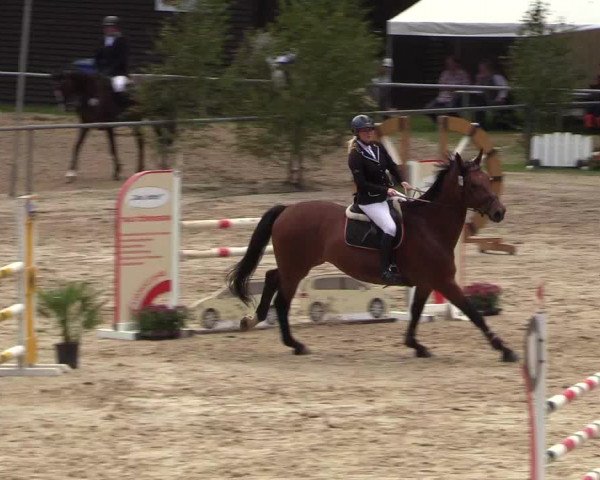 Reitturnier Neunkirchen-Salchendorf 2018