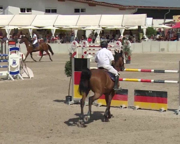 Reitturnier Grafenrheinfeld 2018