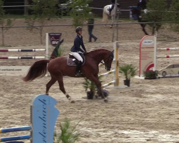 Reitturnier Neunkirchen-Salchendorf 2018