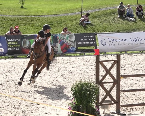 Concours Hippique Zuoz 2018
