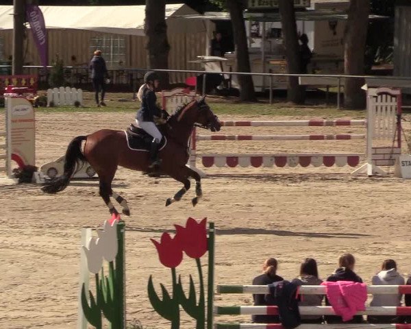 Reitturnier Neunkirchen-Salchendorf 2018