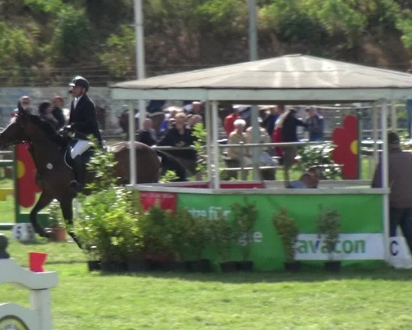 Reitturnier Gardelegen 2018