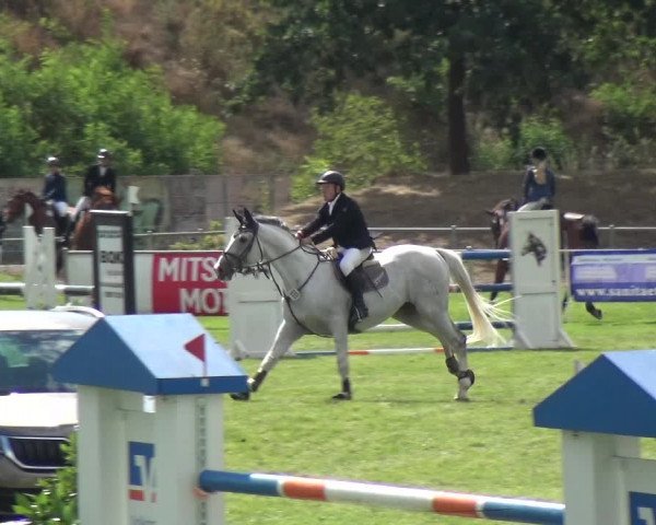 Reitturnier Gardelegen 2018