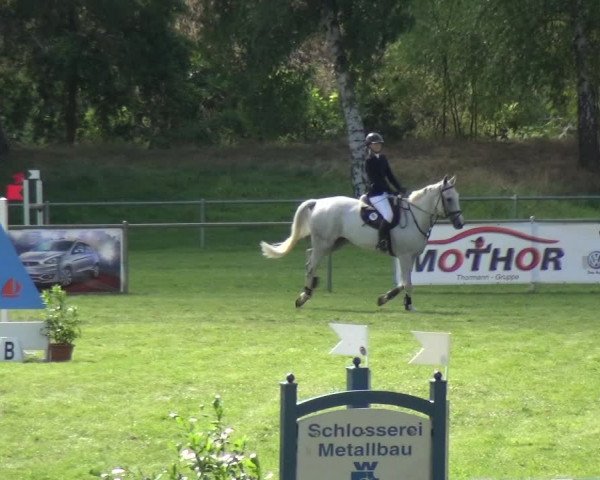 Reitturnier Gardelegen 2018