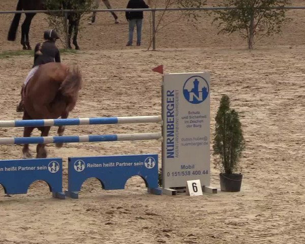 Reitturnier Neunkirchen-Salchendorf 2018
