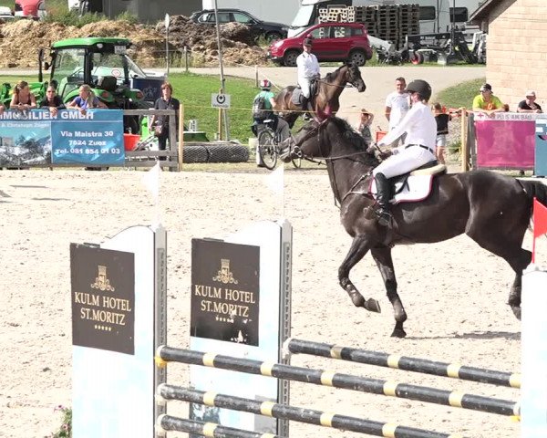 Concours Hippique Zuoz 2018