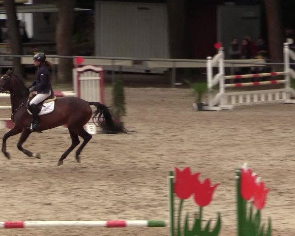 Reitturnier Neunkirchen-Salchendorf 2018