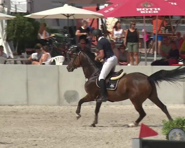Reitturnier Grafenrheinfeld 2018