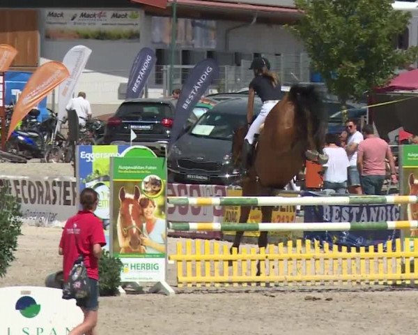 Reitturnier Grafenrheinfeld 2018