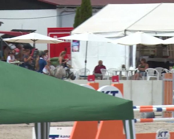 Reitturnier Grafenrheinfeld 2018