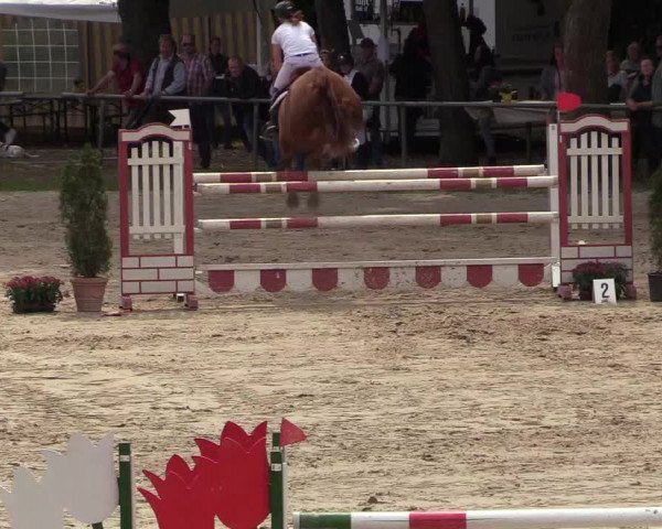Reitturnier Neunkirchen-Salchendorf 2018