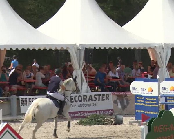 Reitturnier Grafenrheinfeld 2018