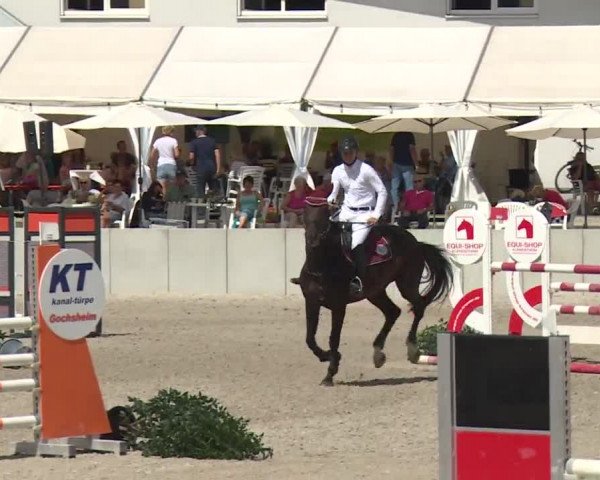 Reitturnier Grafenrheinfeld 2018