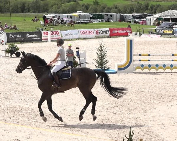 Concours Hippique Zuoz 2018
