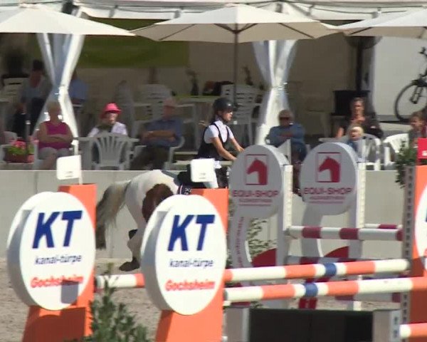 Reitturnier Grafenrheinfeld 2018