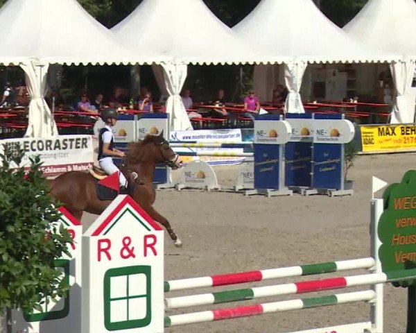 Reitturnier Grafenrheinfeld 2018