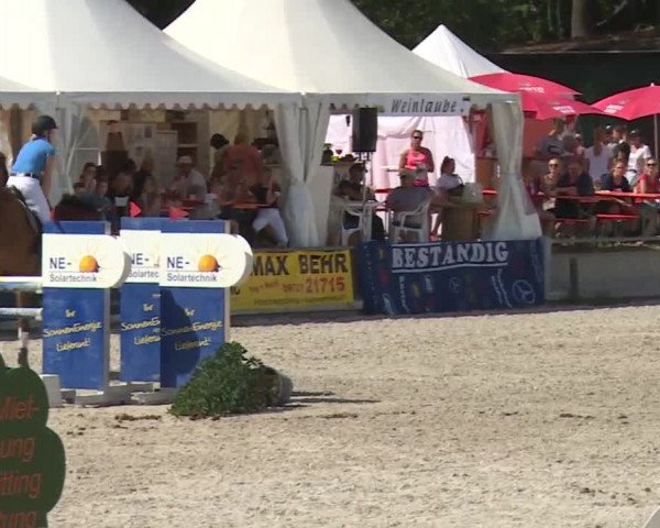 Reitturnier Grafenrheinfeld 2018