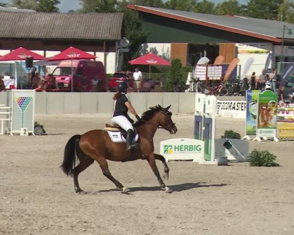 Reitturnier Grafenrheinfeld 2018
