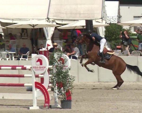 Reitturnier Grafenrheinfeld 2018