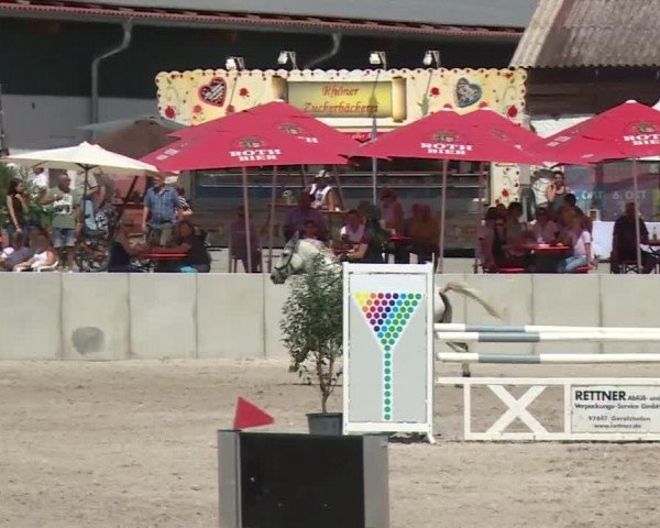 Reitturnier Grafenrheinfeld 2018