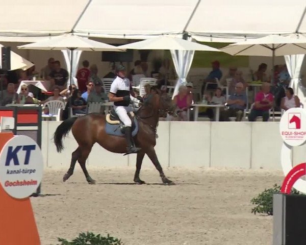 Reitturnier Grafenrheinfeld 2018