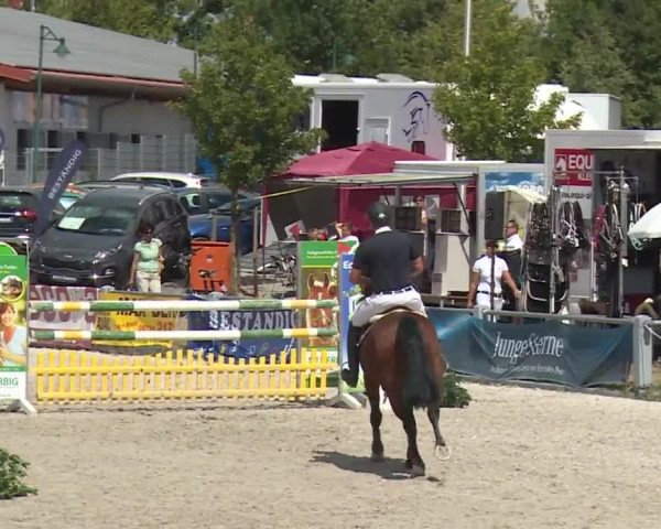 Reitturnier Grafenrheinfeld 2018