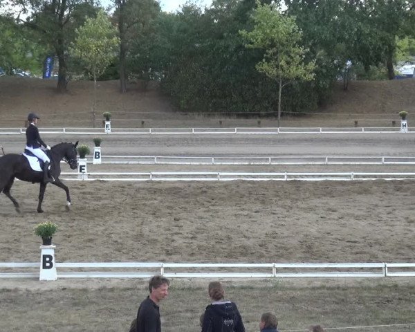 Reitturnier Gardelegen 2018