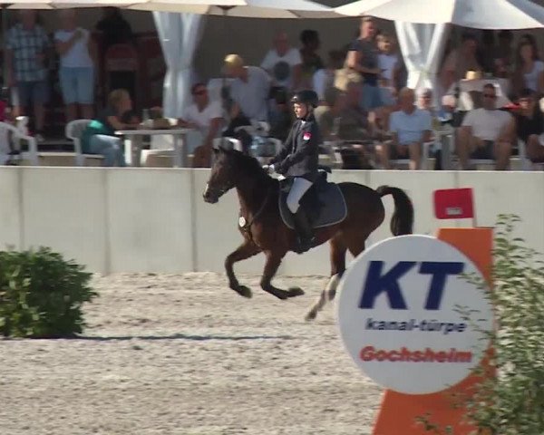 Reitturnier Grafenrheinfeld 2018