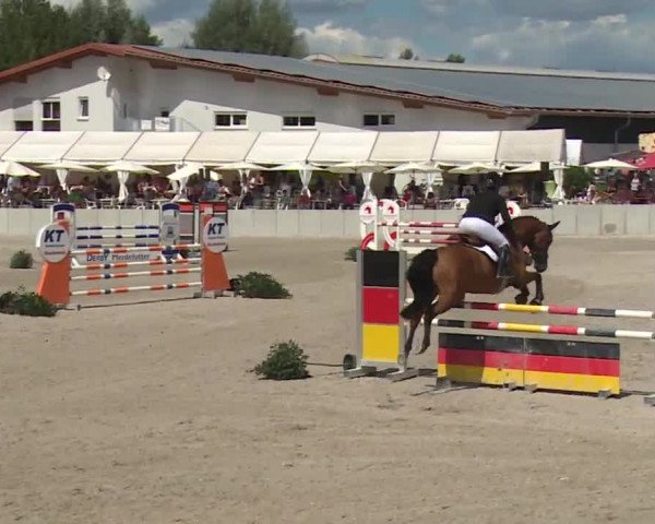 Reitturnier Grafenrheinfeld 2018