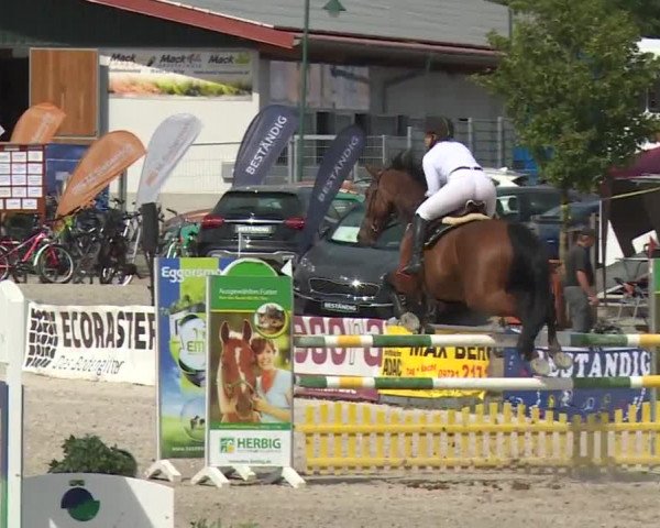 Reitturnier Grafenrheinfeld 2018