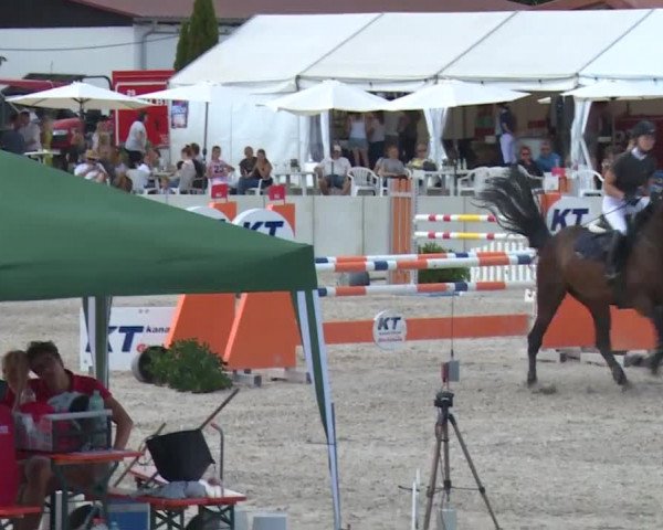 Reitturnier Grafenrheinfeld 2018