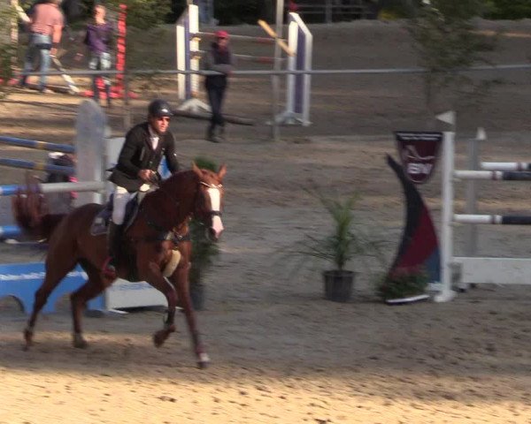 Reitturnier Neunkirchen-Salchendorf 2018