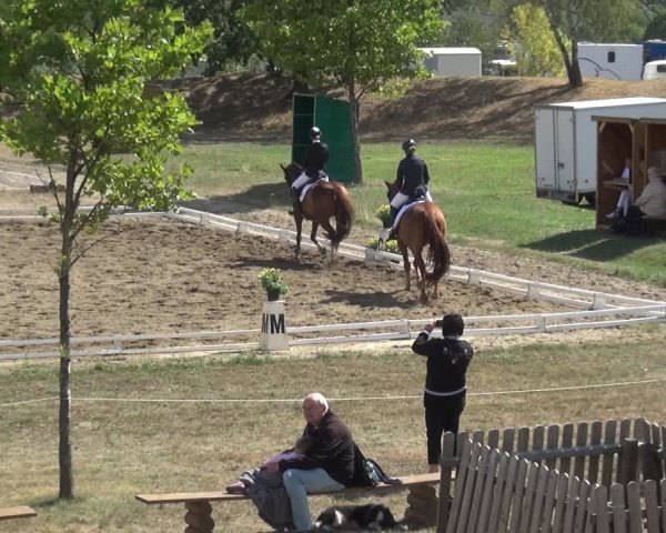 Reitturnier Gardelegen 2018