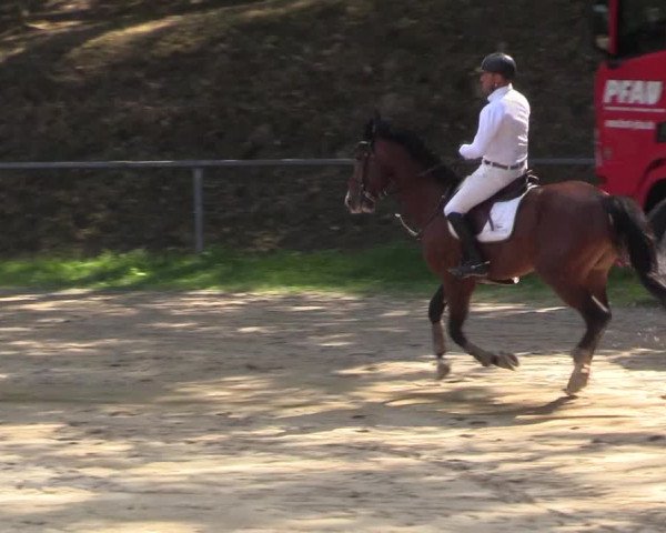 Reitturnier Neunkirchen-Salchendorf 2018