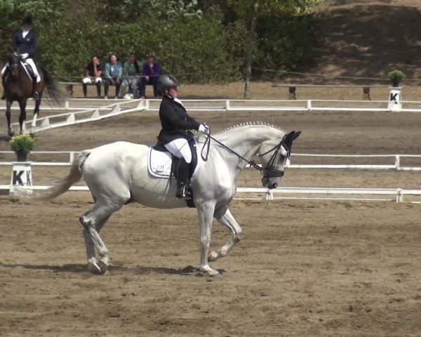 Reitturnier Gardelegen 2018