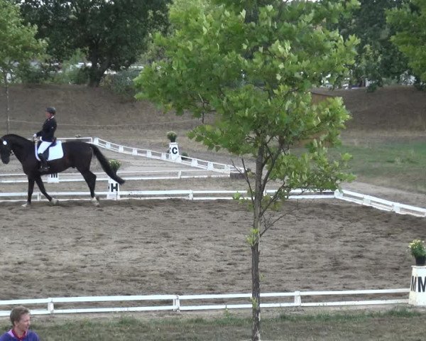 Reitturnier Gardelegen 2018