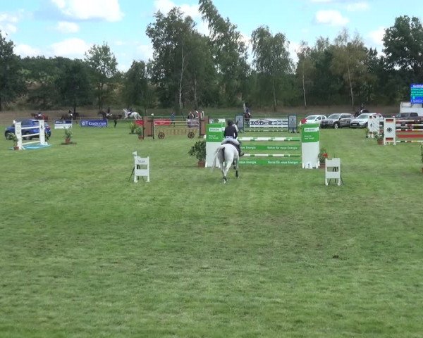 Reitturnier Gardelegen 2018