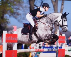 broodmare Cora 632 (Westphalian, 2009, from Chianti's Dream)